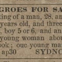 The Semi-Weekly Journal. (Galveston, Tex.), Vol. 1, No. 28, Ed. 1 Tuesday, May 14, 1850